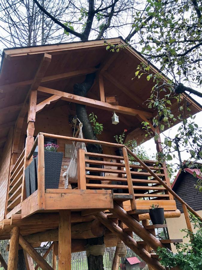 Domeniul Horj Casa Din Cires Moisei 빌라 외부 사진
