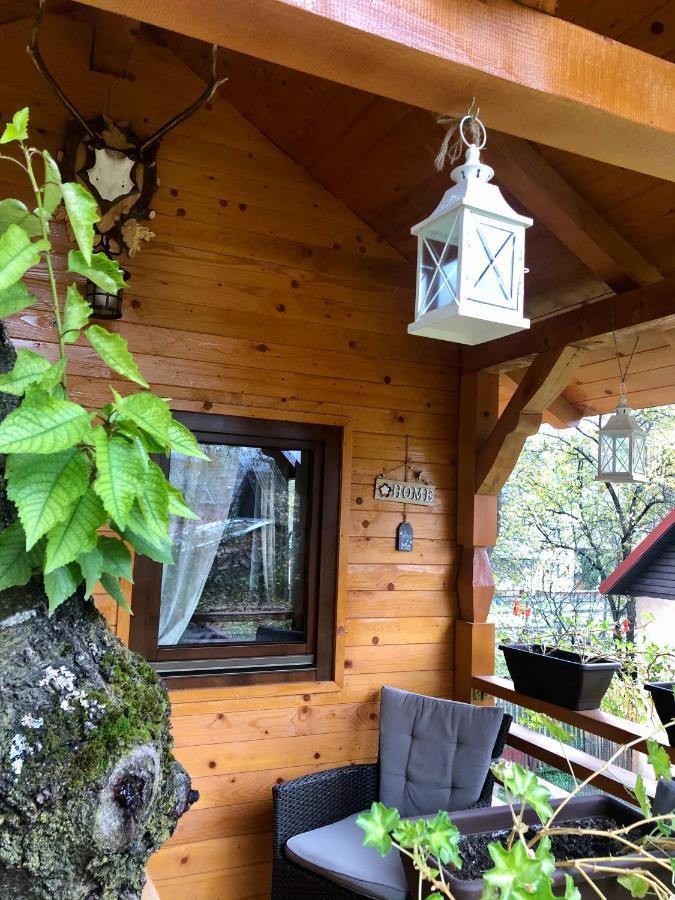 Domeniul Horj Casa Din Cires Moisei 빌라 외부 사진