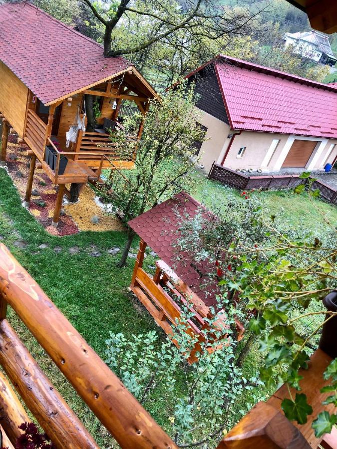 Domeniul Horj Casa Din Cires Moisei 빌라 외부 사진