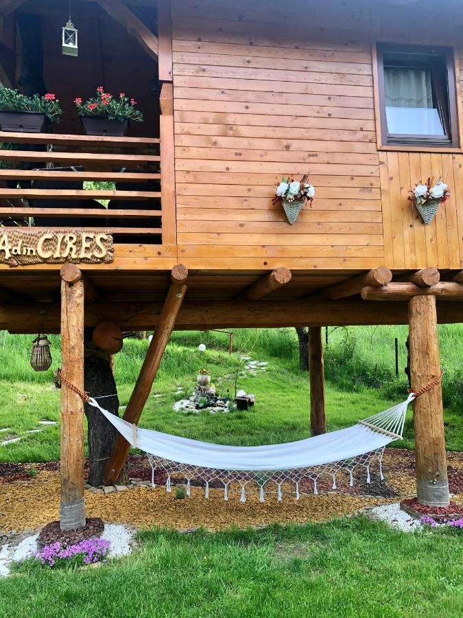 Domeniul Horj Casa Din Cires Moisei 빌라 외부 사진